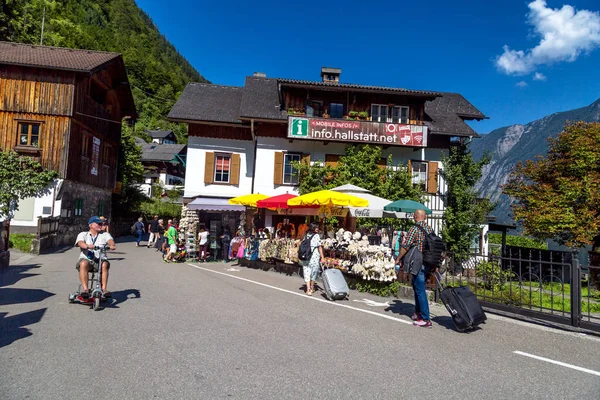 Hallstatt Köyü tarihi dağ evleri ile