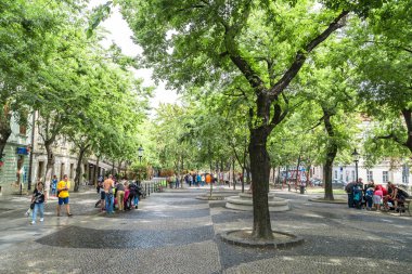 Bratislava popüler Caddesi