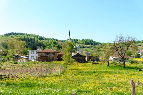 Krajobraz Meadow View wioski z domami — Zdjęcie stockowe