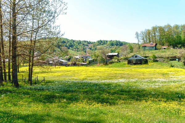 Пейзаж луга Вид на деревню с домами — стоковое фото