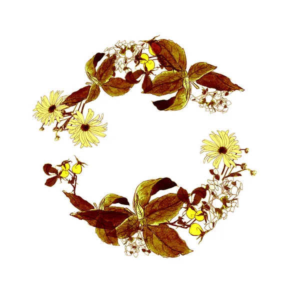 Krans av hösten blomma: Aster, Chrysanthemum, hortensia, Rose fartyg. Akvarell Hand dras bakgrund, cirkel ram för din Design. Hösten blommönster för inbjudan kort, textil Print, affisch. — Stockfoto