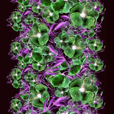 Sulu Boya Dikişsiz çiçek desenli. Tekstil baskı, davet arka plan, duvar kağıdı için trendy çiçek Background Tasarımı, kumaş baskı, düğün kartı el çizilmiş suluboya resim.