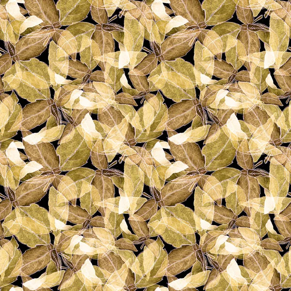Patrón sin costura de hojas de albahaca. Fondo repetidamente dibujado a mano con hierba especia y albahaca . —  Fotos de Stock