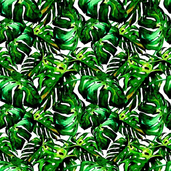 Motif sans couture aquarelle. Illustration peinte à la main de feuilles et fleurs tropicales. Motif d'été tropical avec motif Liana . — Photo