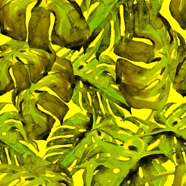 Sulu Boya Dikişsiz desen. El çizimi tropikal yaprak ve çiçek boyalı. Tropic yaz Motif Monstera desenli.