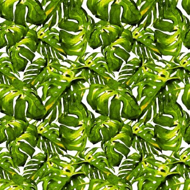 Sulu Boya Dikişsiz desen. El çizimi tropikal yaprak ve çiçek boyalı. Tropic yaz Motif Liana desenli.