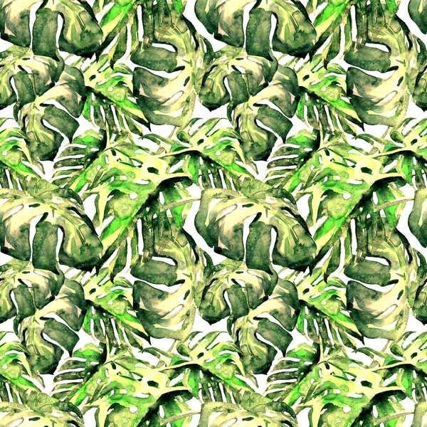 Ακουαρέλα χωρίς ραφή πρότυπο. Χειροποίητη Εικόνα τροπικά φύλλα και λουλούδια. Τροπικός καλοκαίρι μοτίβο με μοτίβο Λιάνα. — Φωτογραφία Αρχείου