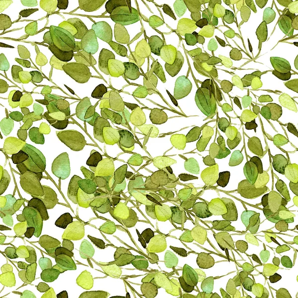 Eucalipto verde foglie modello senza soluzione di continuità . — Foto Stock