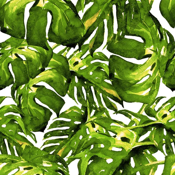 Ακουαρέλα χωρίς ραφή πρότυπο. Χειροποίητη Εικόνα τροπικά φύλλα και λουλούδια. Τροπικός καλοκαίρι μοτίβο με μοτίβο Μονστέρα. — Φωτογραφία Αρχείου