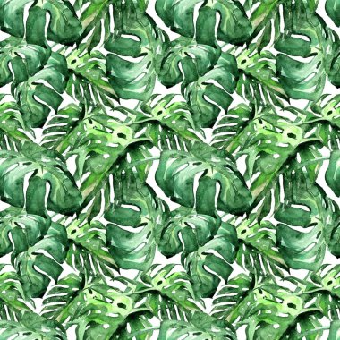 Sulu Boya Dikişsiz desen. El çizimi tropikal yaprak ve çiçek boyalı. Tropic yaz Motif Liana desenli.