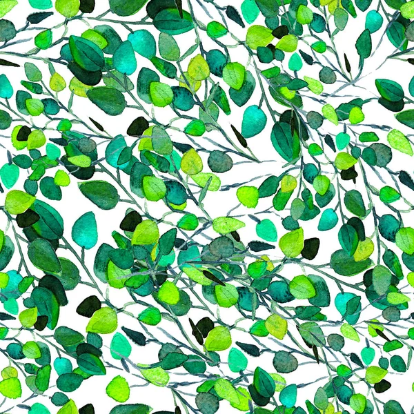 Eucalipto verde deja un patrón sin costuras . —  Fotos de Stock