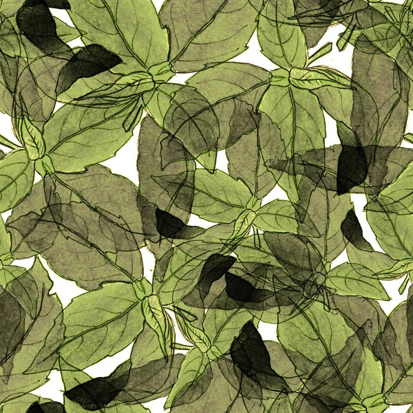 Basil Leafs Seamless Pattern. Ranienie ręcznie rysowane tła z ziół przypraw i bazylią. — Zdjęcie stockowe