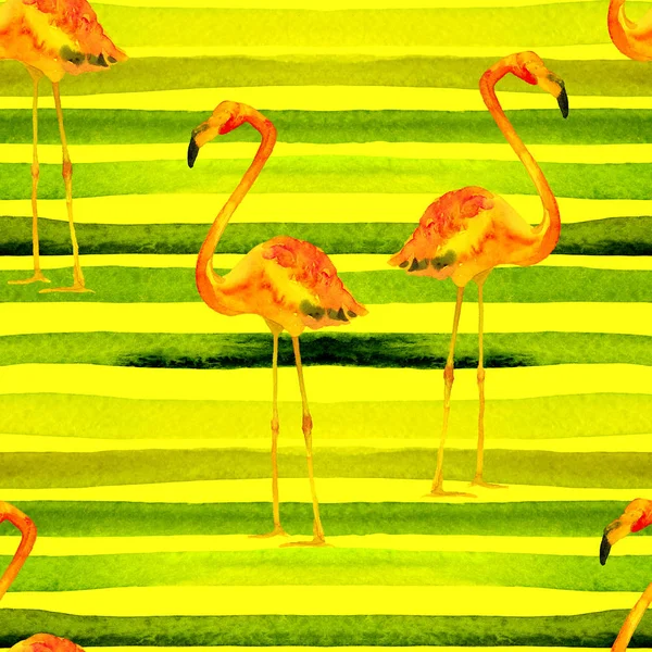 Akvarelem pruhy vzor bezešvé s Flamingo. — Stock fotografie