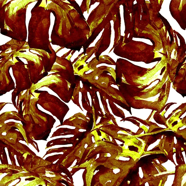 Акварель безшовні візерунок. Ручним розписом ілюстрація тропічних листя і квіти. Мотив Тропік літо з візерунком Монстера. — стокове фото