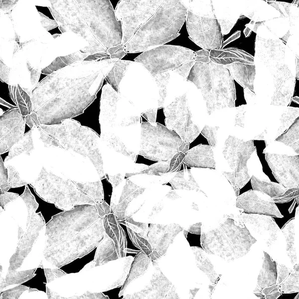 Basil Folhas padrão sem costura. Fundo repetidamente desenhado à mão com erva de especiarias e manjericão . — Fotografia de Stock