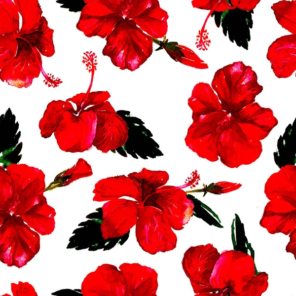 Padrão sem costura aquarela. Ilustração pintada à mão de folhas e flores tropicais. Motivo Trópico de Verão com Padrão de Hibisco . — Fotografia de Stock