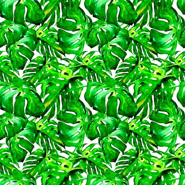 Akvarelu vzor bezešvé. Ručně malované ilustrace tropických listů a květů. Tropic letní motiv Liana vzorem. — Stock fotografie