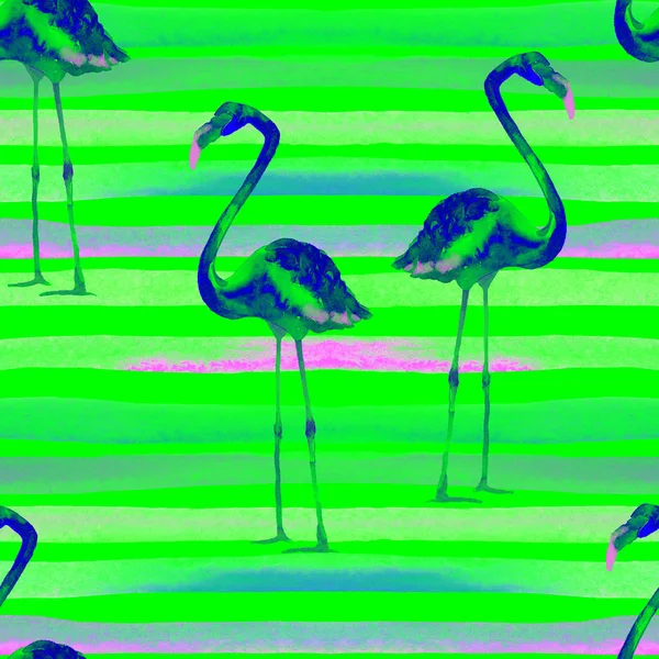 Watercolor Stripes Seamless Pattern with Flamingo. — Stock Photo, Image