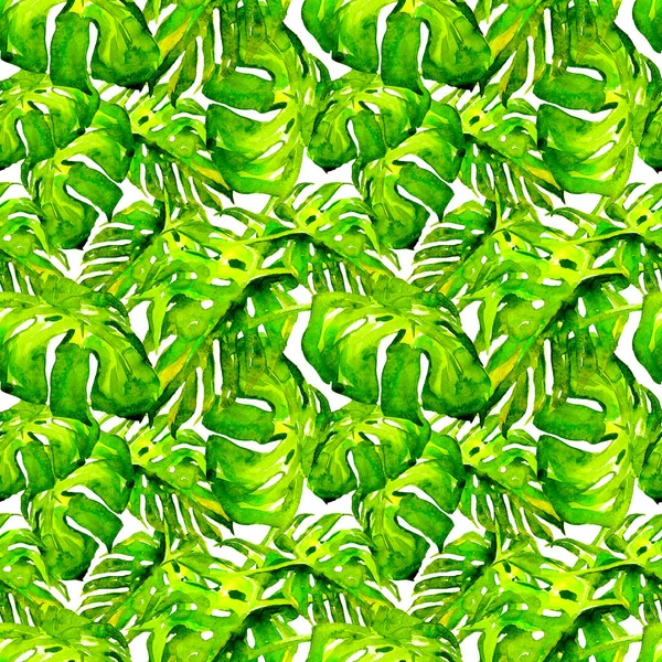 Watercolor Seamless Pattern. Hand Painted Illustration of Tropical Leaves and Flowers. Tropic Summer Motif with Liana Pattern. — Stock Photo, Image