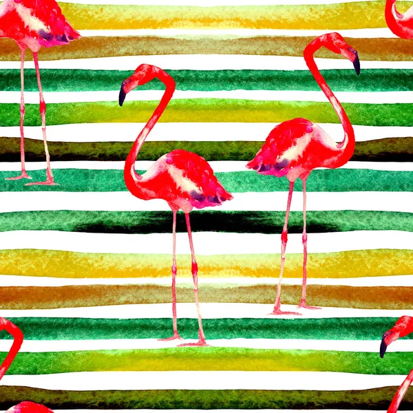 Watercolor Stripes Seamless Pattern with Flamingo. — Stock Photo, Image