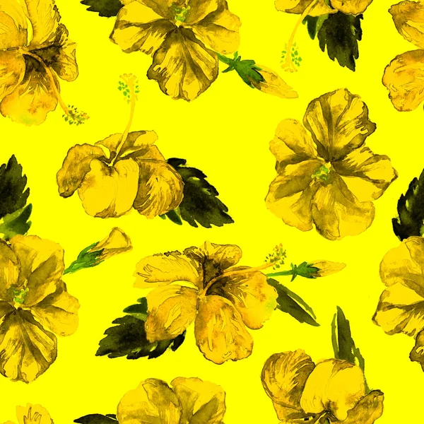 Motif sans couture aquarelle. Illustration peinte à la main de feuilles et fleurs tropicales. Motif d'été tropical avec motif Hibiscus . — Photo