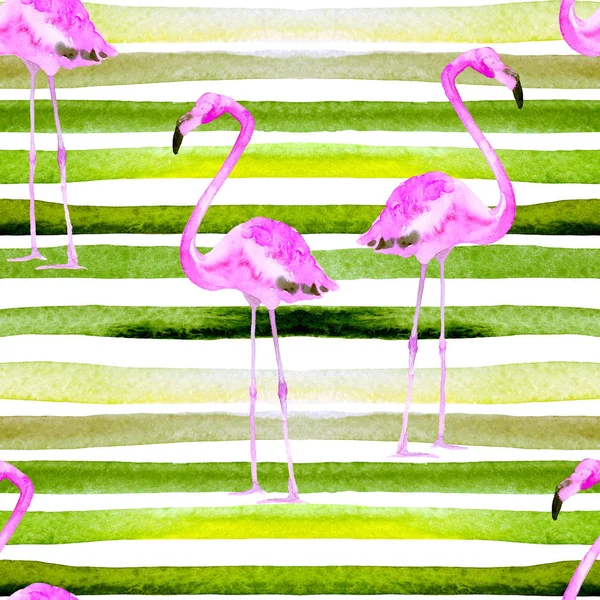 Акварельные полосы бесшовный узор с фламинго . — стоковое фото