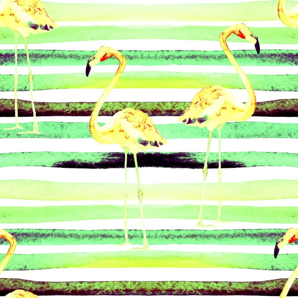 Padrão sem costura listras aquarela com Flamingo . — Fotografia de Stock