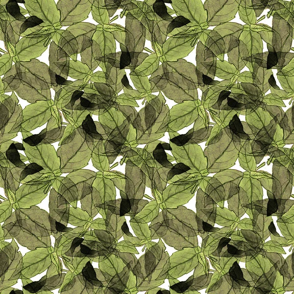 Basil Leafs Seamless Pattern. Sfondo disegnato ripetutamente a mano con erbe aromatiche e basilico . — Foto Stock
