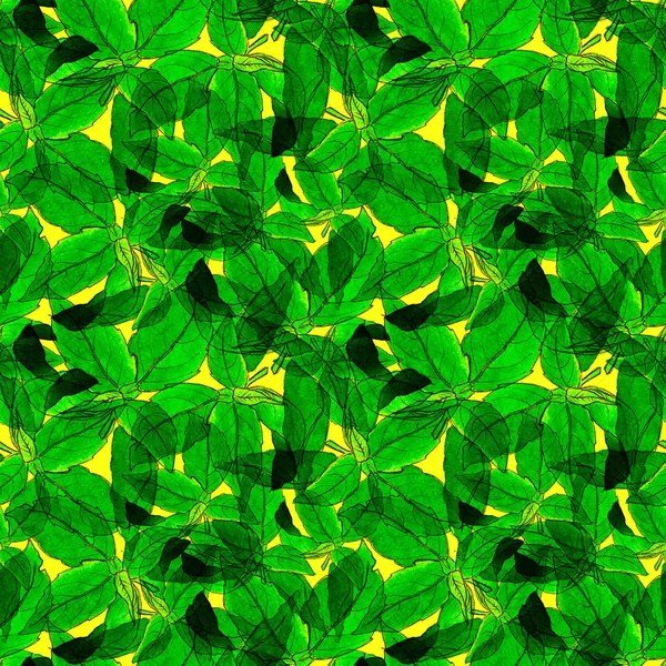 Basil Folhas padrão sem costura. Fundo repetidamente desenhado à mão com erva de especiarias e manjericão . — Fotografia de Stock
