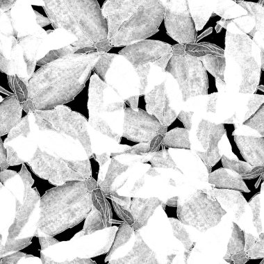 Fesleğen Seamless Modeli yapraklar. Repeatably elle çizilmiş ve arka plan bahar bitki fesleğen.