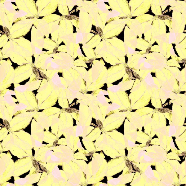 Basil Leafs Seamless Pattern. Ranienie ręcznie rysowane tła z ziół przypraw i bazylią. — Zdjęcie stockowe