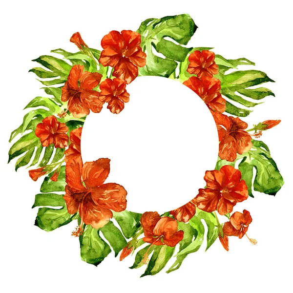 Quadro de círculo tropical com Hibisco e Monstera Watercolor pintado à mão Tropic Summer Motif com Hibisco . — Fotografia de Stock