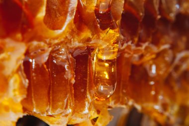  Bal peteğin akışı aşağı yavaş yavaş sarı