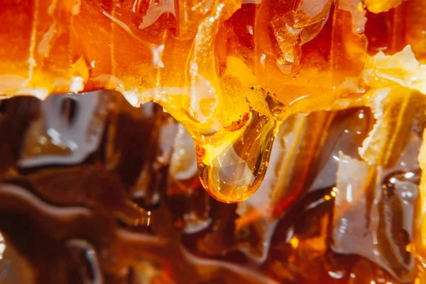  Bal peteğin akışı aşağı yavaş yavaş sarı