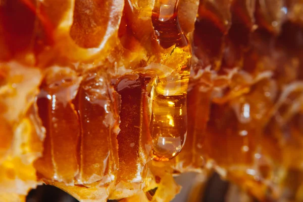  Bal peteğin akışı aşağı yavaş yavaş sarı