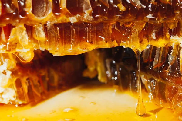  Bal peteğin akışı aşağı yavaş yavaş sarı