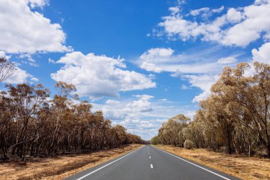 Yaz New South Wales, Avustralya açık yolu