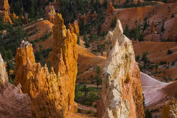 Bryce canyon panorama im us — Stockfoto