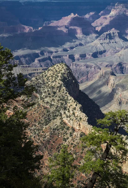 Amerikas Forenede Stater Grand Canyon på Colorado River - Stock-foto