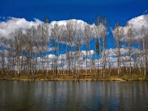 Paisaje primaveral con un lago y árboles sin follaje — Foto de Stock