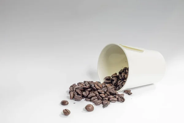 Coffee Bean Bit Grey Background — Stock Photo, Image