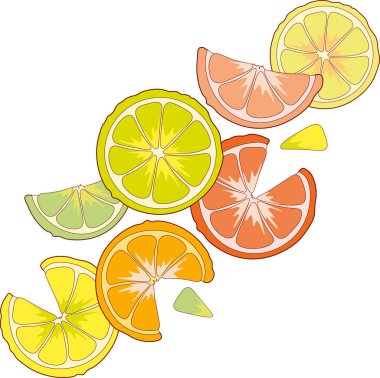 Sulu narenciye limon portakal limon greyfurt dilim.