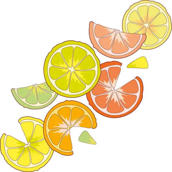 Sulu narenciye limon portakal limon greyfurt dilim. — Stok fotoğraf