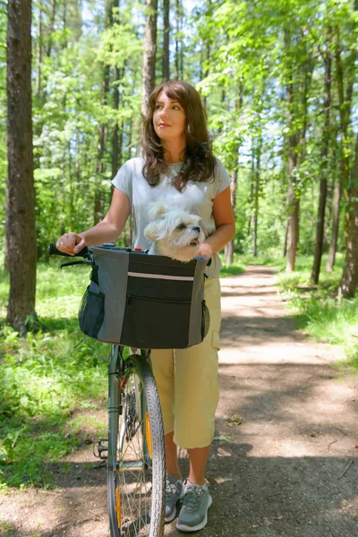 Vrouw met een fiets met haar hond — Stockfoto