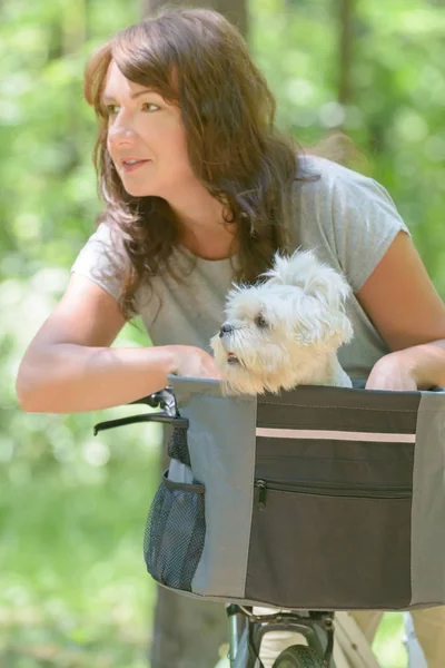 Kadın köpeğini bir bisiklet sürme — Stok fotoğraf