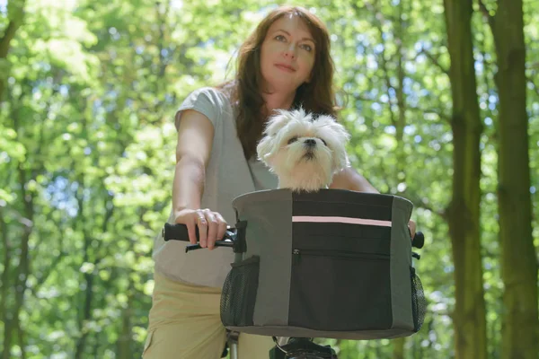 Mujer montando una bicicleta con su perro — Foto de Stock