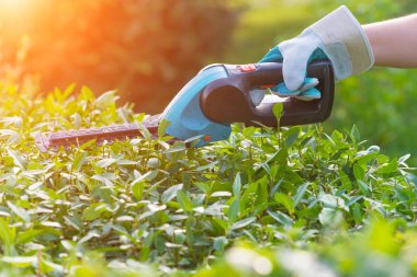 El ile Bahçe pil makası