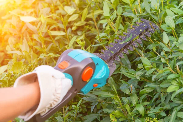 Hand with garden battery shears — Stock Photo, Image