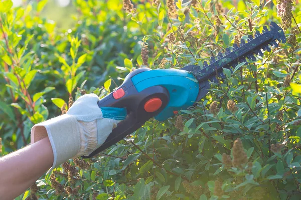 Hand met de tuin accu schaar — Stockfoto