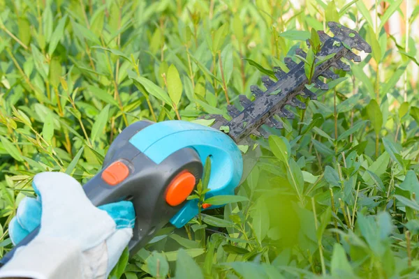 Hand with garden battery shears — Stock Photo, Image